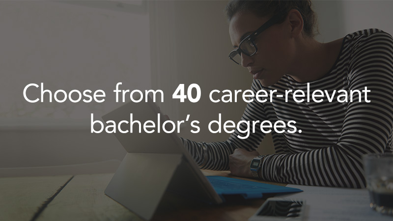 Choose from 40 bachelor's degrees.